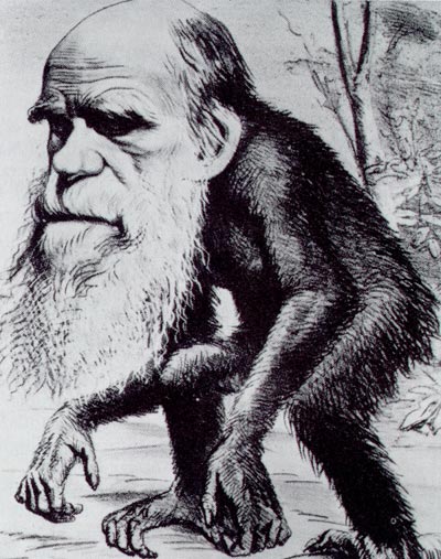 Darwin discende dalle scimmie